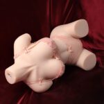 dp torso doll uthx10