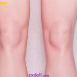 silicone torso legs e3six8